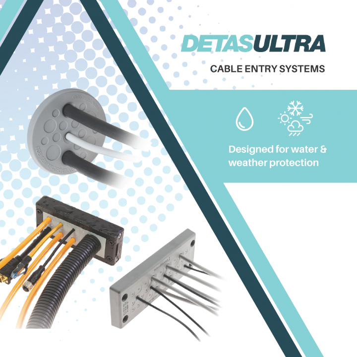 Detas