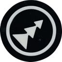 TER NPA DISC INSERT - BLACK WITH 3-SPEED ARROW