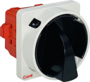 GAVE PANEL SWITCH DISCONNECTOR 2POS 0-1 3P 25A D0 PADLOCK BLACK/GREY IP65
