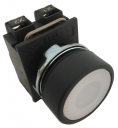 GHISALBA 22mm IP66 ILLUMINATED FLUSH PUSHBUTTON WHITE