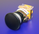 22mm MUSHROOM PUSHBUTTON BLACK, 40mm DIA, 2NO MOMENTARY IP40