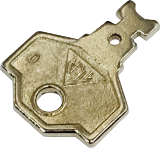 TER SPARE KEY FOR NPA KEY SWITCH - Electrical Importing Company Ltd